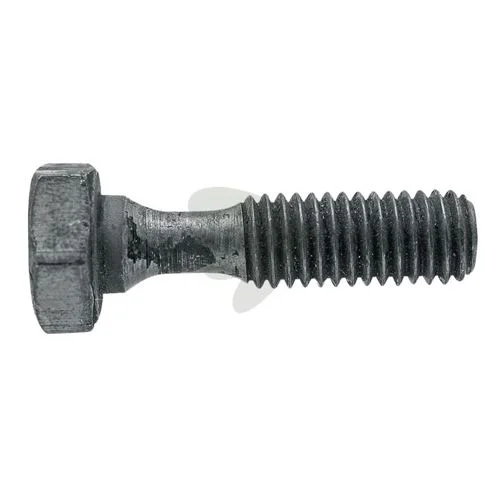 sagro1-1539610