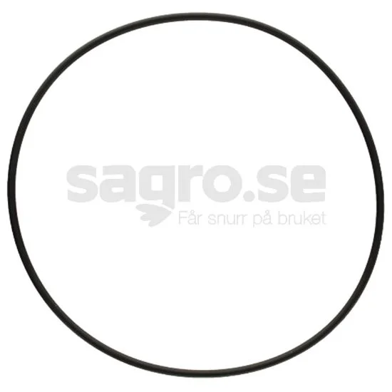 sagro1-1542312