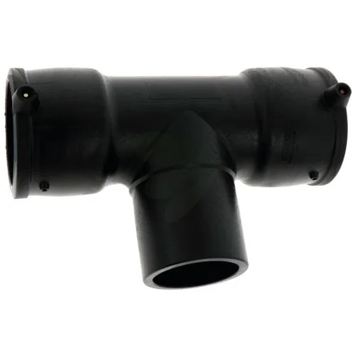 sagro1-1580590